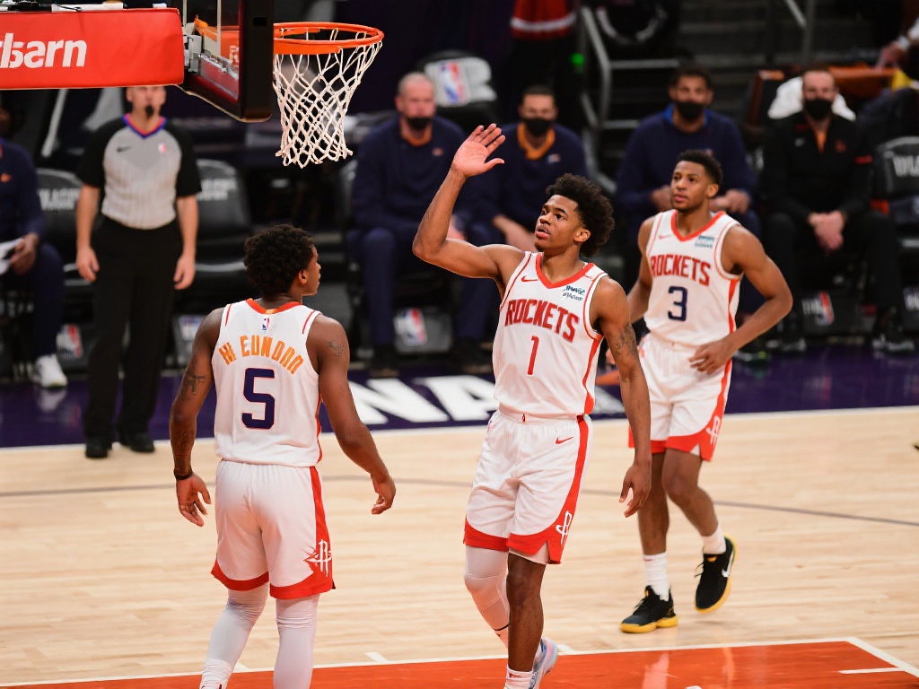 不仅提供了 不仅提供了